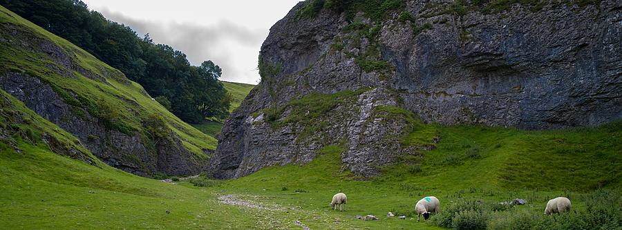Photo 614182