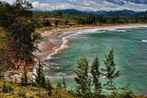 Album 500398