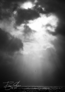 Album 500324