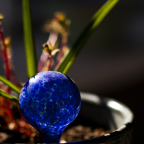 Photo ID 110180