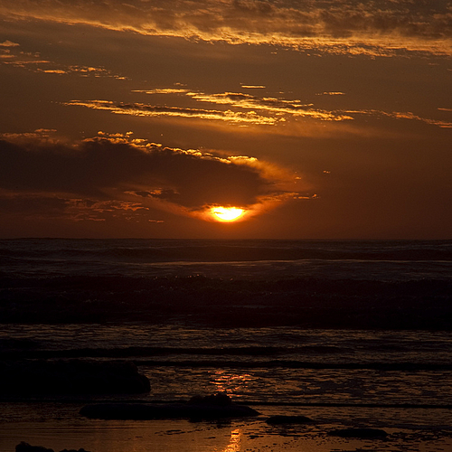 Photo ID 110091