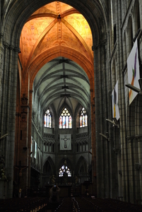 Album 501393