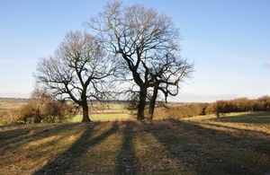 Album 501288