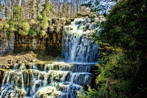 Album 500476