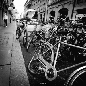 Album 501465