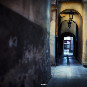 Album 501467