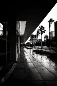 Album 500964