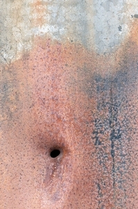 Album 501044
