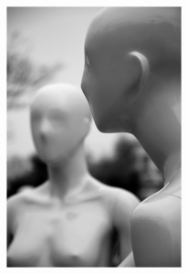 Album 500825