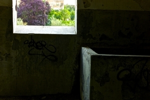 Album 301050
