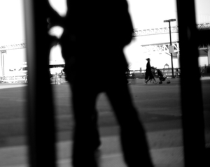 Album 301051