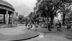 Album 1501601