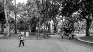 Album 1501601