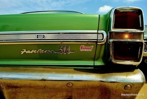 Album 501582