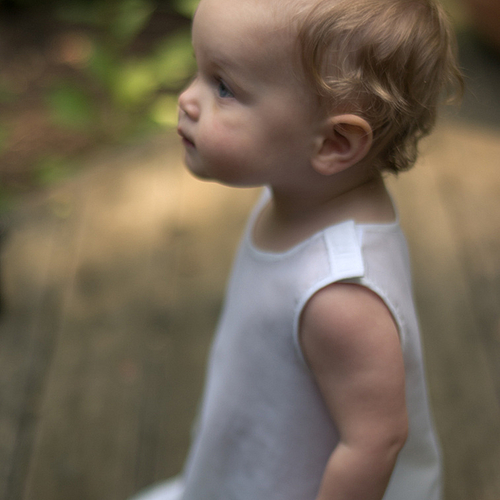 Photo ID 23239