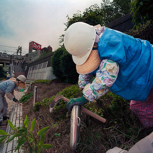 Photo ID 23503