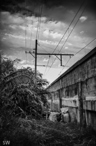 Album 501580