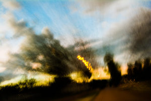Album 501676