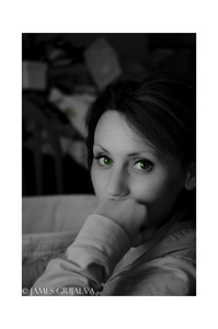 Album 501559