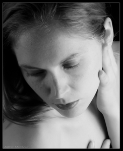 Album 501688
