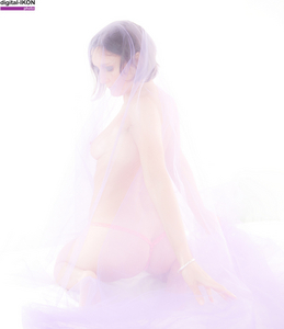 Album 501658