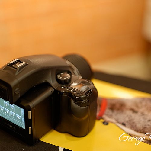 Photo ID 534900