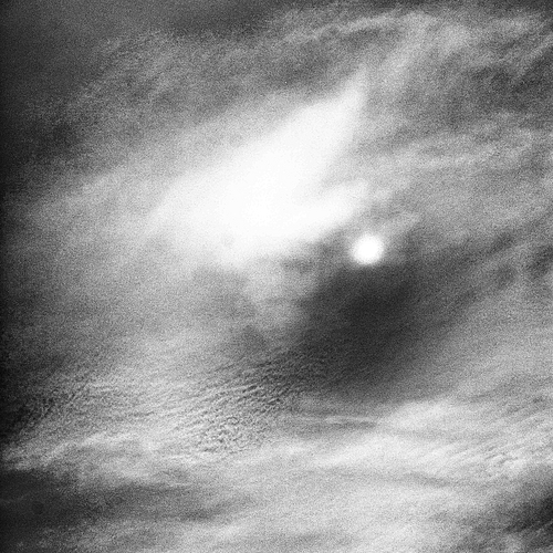 Photo ID 362435