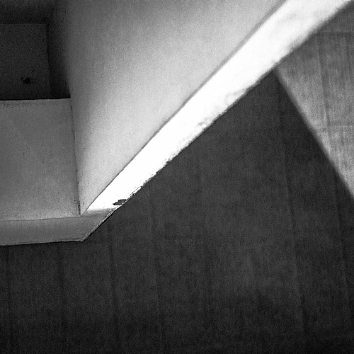 Photo ID 363436
