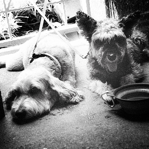 Photo ID 364015