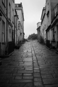 Album 301695