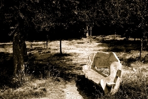 Album 301697
