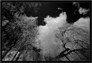 Album 300505