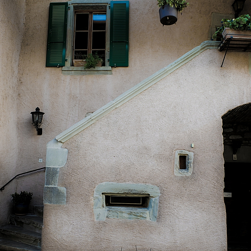 Photo ID 311421