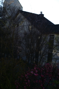 Album 300500