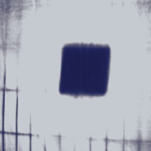 Album 300825
