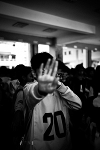 Album 300880
