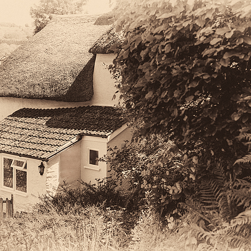 Photo ID 331622