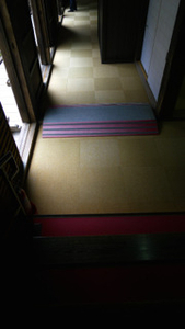 Album 301686