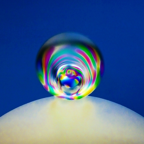 Photo ID 359907