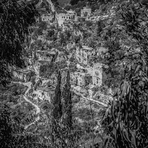 Photo ID 335217