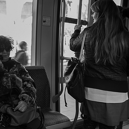 Photo ID 340588