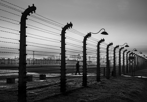 Album 301279