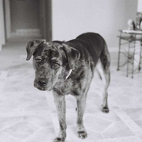 Photo ID 330718