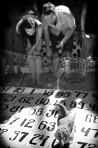 Album 301238