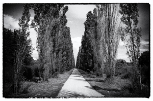 Album 301429