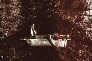 Album 301336