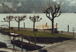 Album 301487