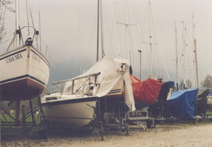 Album 301487