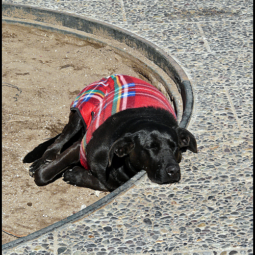 Photo ID 338800