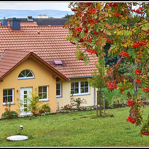 Photo ID 337529